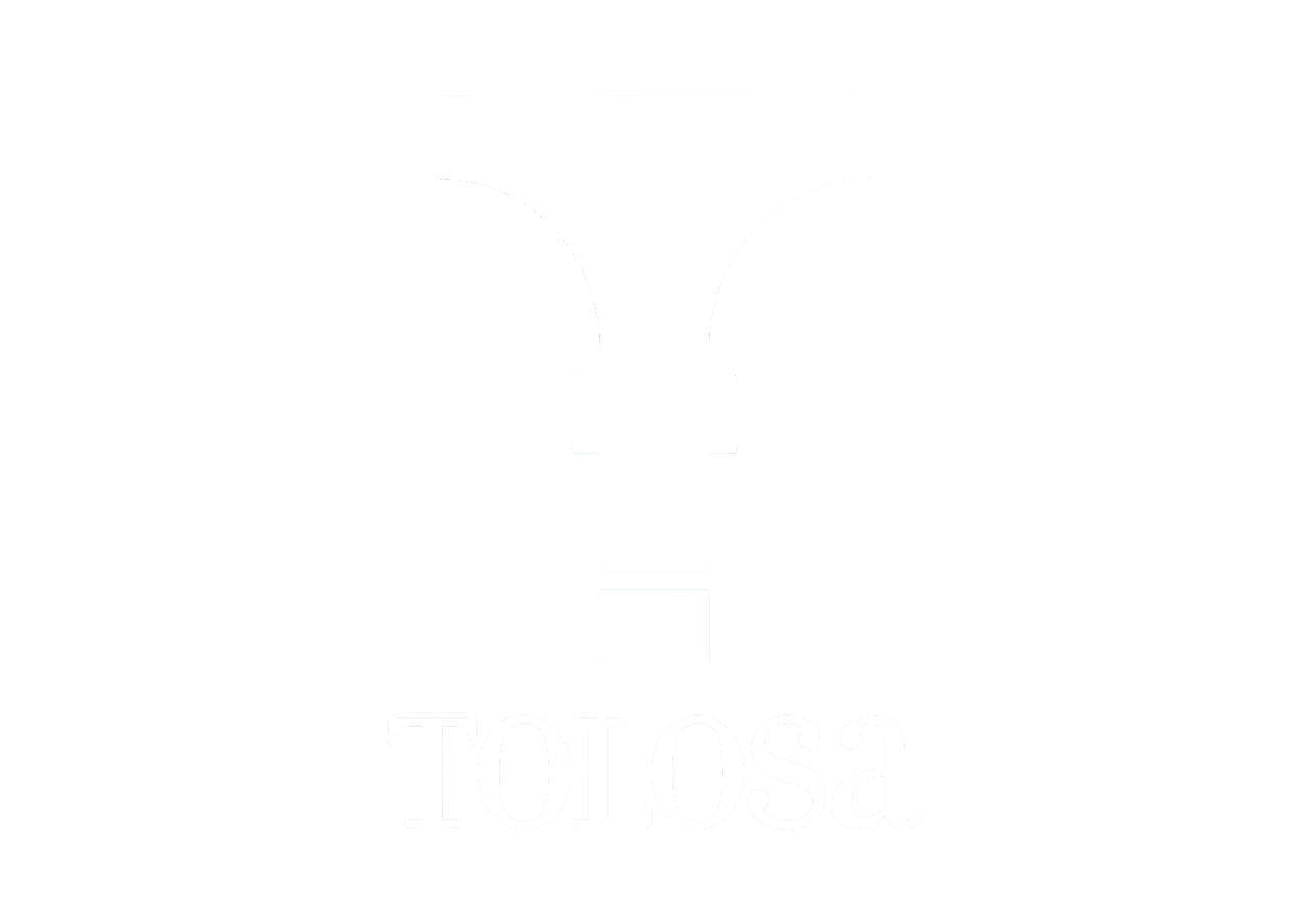 erabaki.tolosa.eus