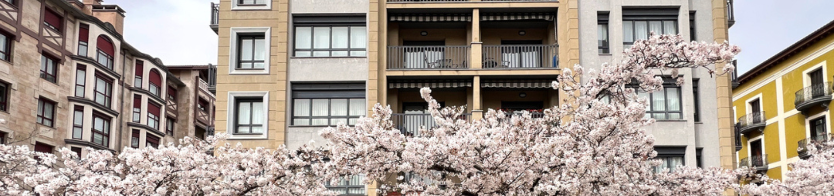 Multimedia-irudia: Zabalgune eremuko Auzoen Mahaia